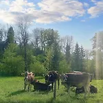 Lindners Hideaways - Bergnest - Bergblick 6 Pers Balkon Garten Hund Luftkurort Naehe Buchenegger Wasserfaelle Eistobel Bodensee