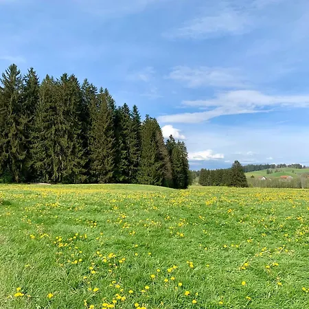 Bergnest Mit Bergblick - Ca 3 Min Skilift - Balkon - Garten - 6 Pers - Hund - Luftkurort - Naehe Buchenegger Wasserfaelle - Eistobel - Bodensee * أوبيريويتي