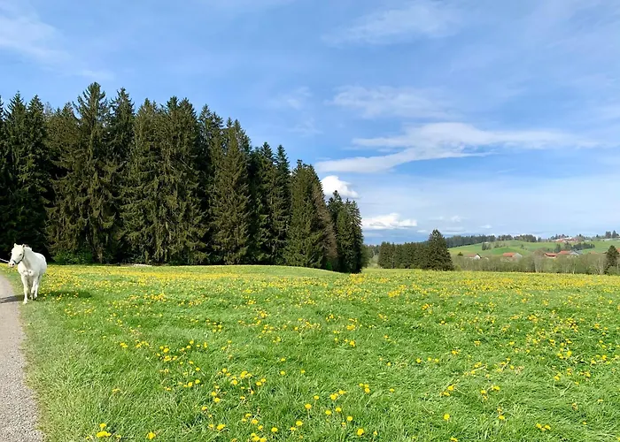 Lindners Hideaways - Bergnest - Bergblick 6 Pers Balkon Garten Hund Luftkurort Naehe Buchenegger Wasserfaelle Eistobel Bodensee * オーバーロイテ