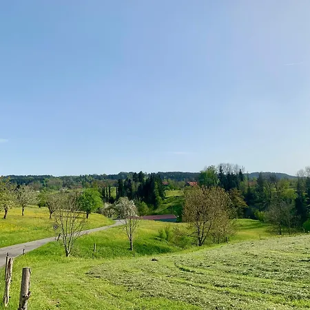 Lindners Hideaways - Bergnest - Bergblick 6 Pers Balkon Garten Hund Luftkurort Naehe Buchenegger Wasserfaelle Eistobel Bodensee