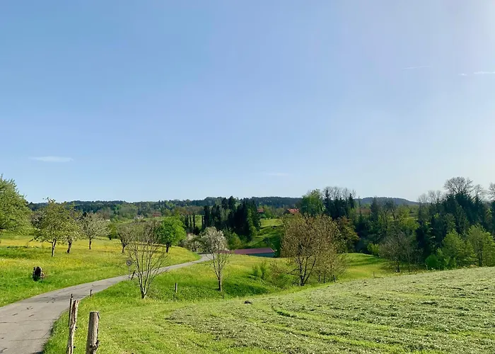 Lindners Hideaways - Bergnest - Bergblick 6 Pers Balkon Garten Hund Luftkurort Naehe Buchenegger Wasserfaelle Eistobel Bodensee