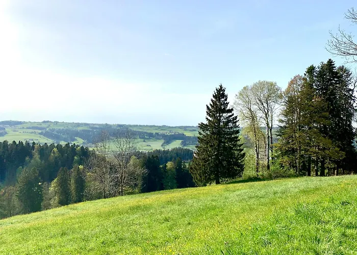 Appartamento Lindners Hideaways - Bergnest - Bergblick 6 Pers Balkon Garten Hund Luftkurort Naehe Buchenegger Wasserfaelle Eistobel Bodensee Oberreute